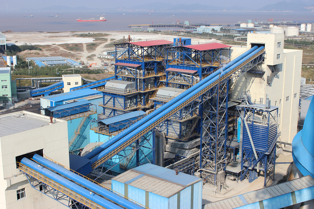 Bubbling Fluidized Bed Combustion Boiler (BFB)