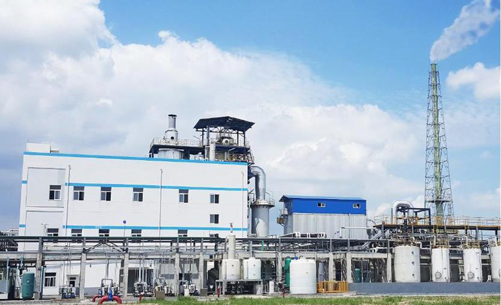 Solid Waste Salt Continuous Incineration System